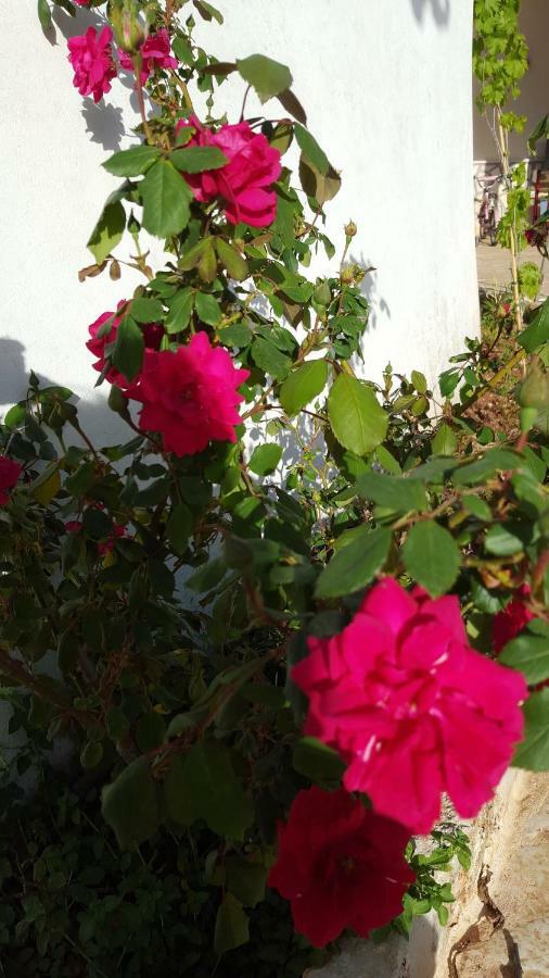 Giardini di Lanzo Villa Martina Franca Esterno foto